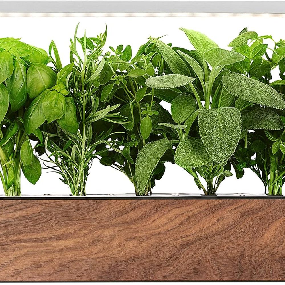 Smart Garden Herb - Smart Indoor Herb Garden: Grow 10+