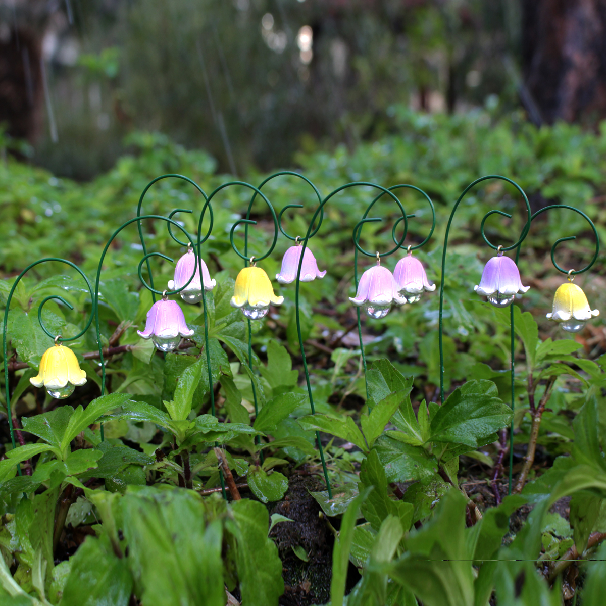 Smart Garden Mini - 9pcs,Lily Of The Valley That Will