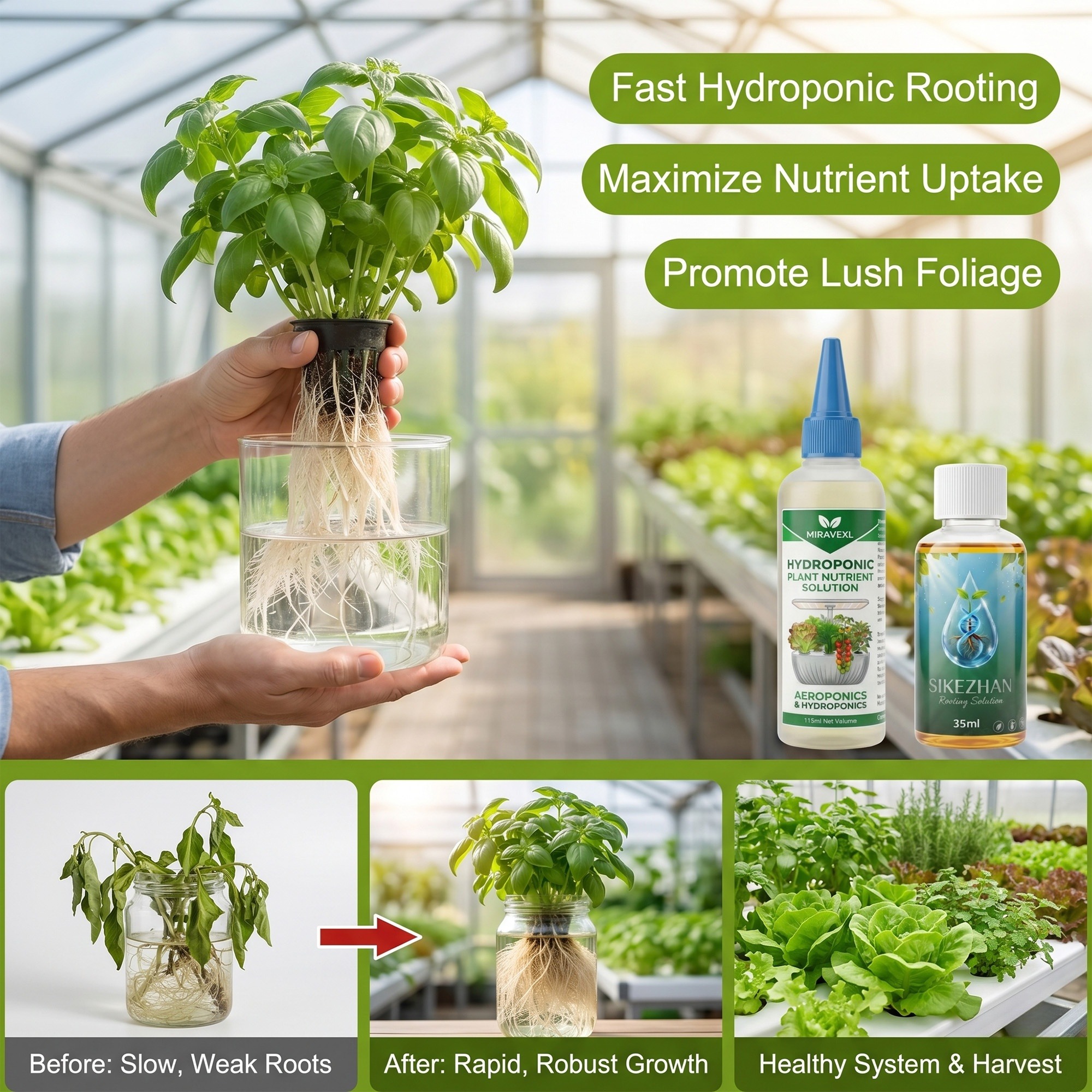 Hydroponic Nutrient Solution R - Composting Kit Indoor 评论和价格