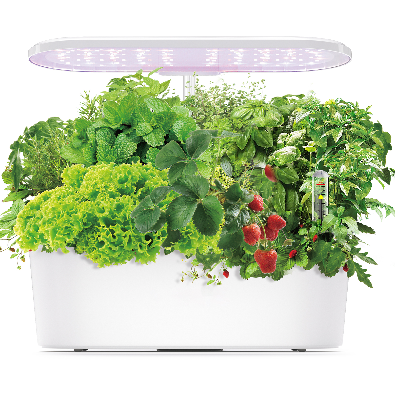 Smart Electronic Indoor Hydrop - Smart Garden Herb 评论和价格