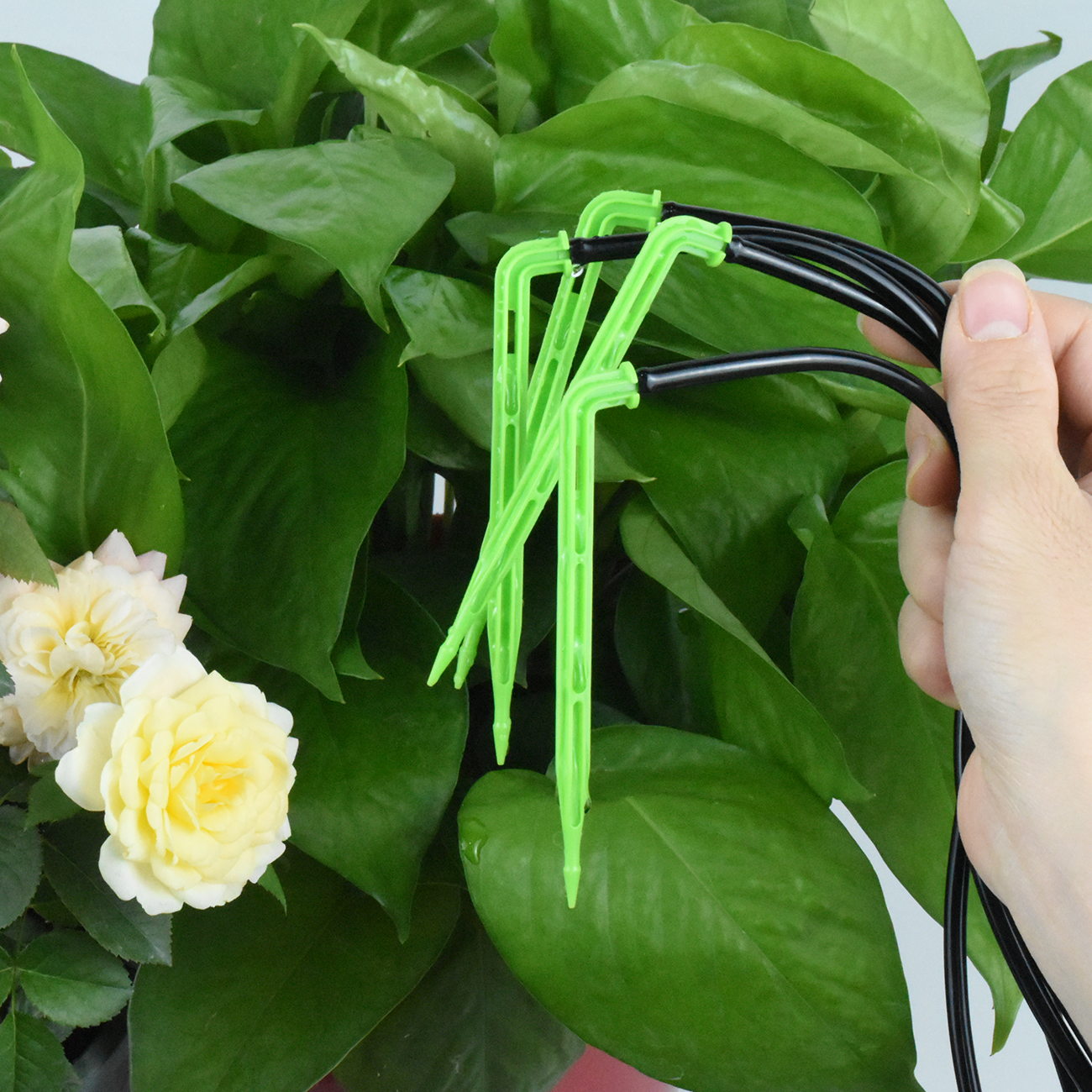KESLA Garden 4/7mm to 3/5mm Ho - Smart Garden Project 评论和价格
