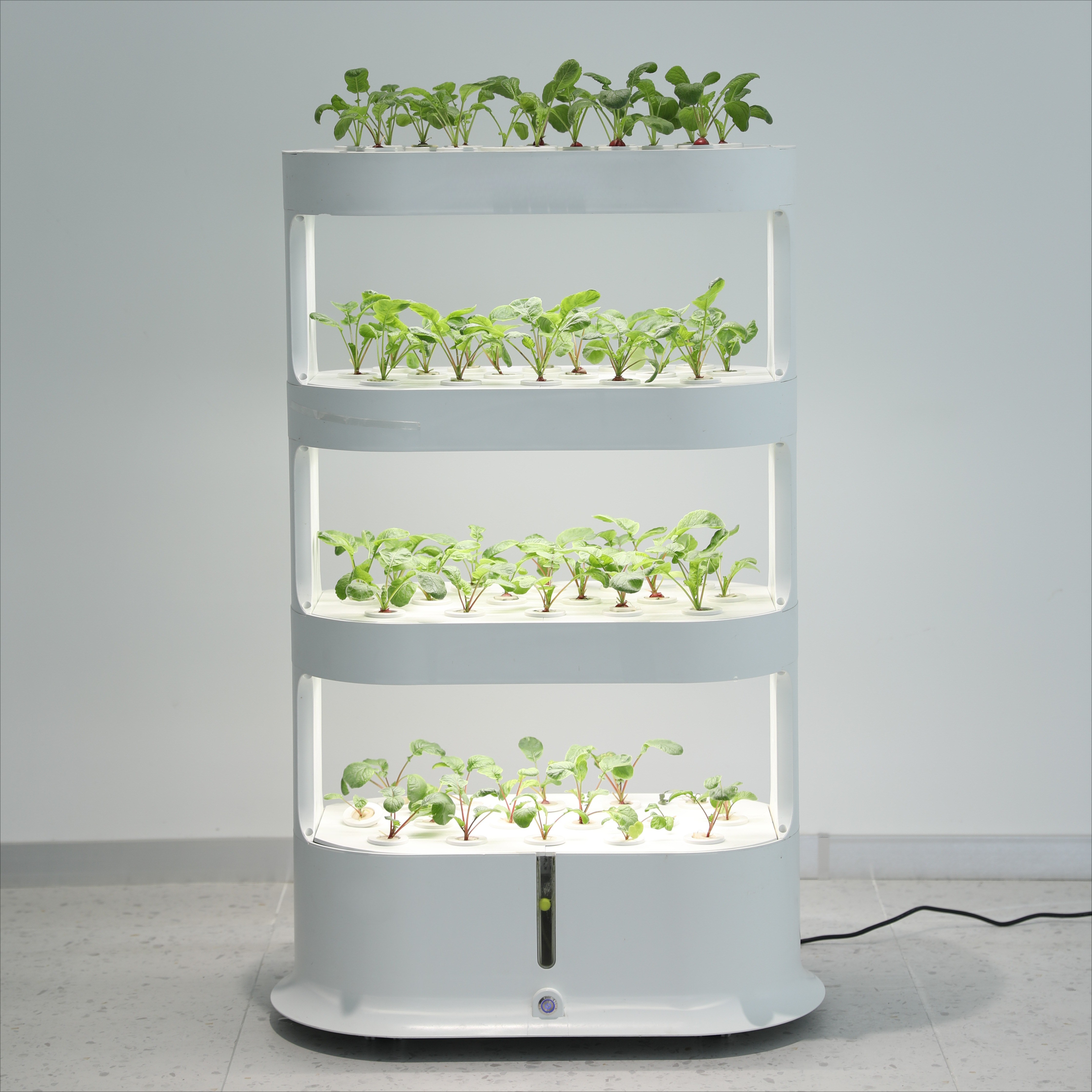 Home Greenhouse Automatic Home - Smart Garden Herb 评论和价格