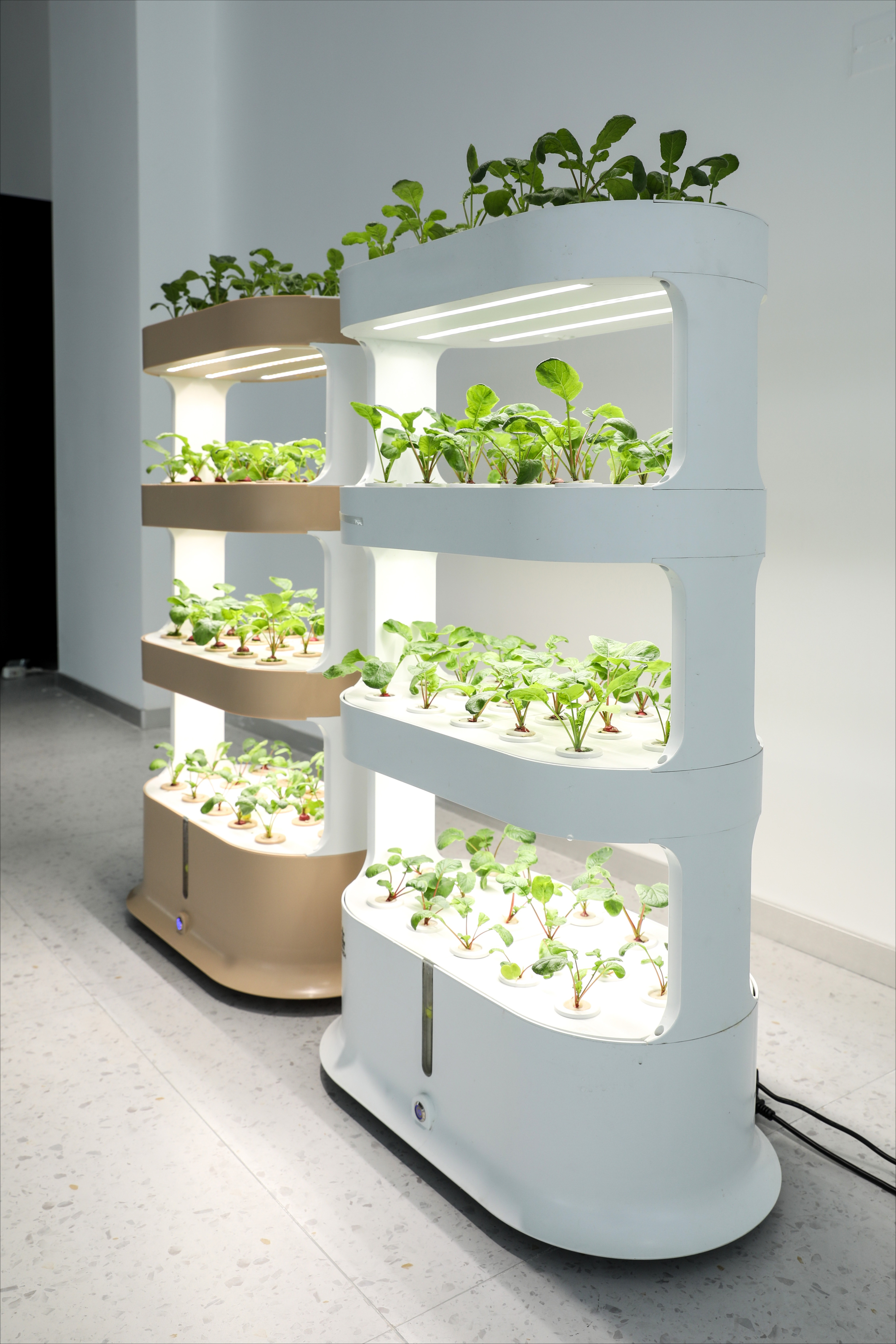 Home Greenhouse Automatic Home - Smart Garden Herb 评论和价格