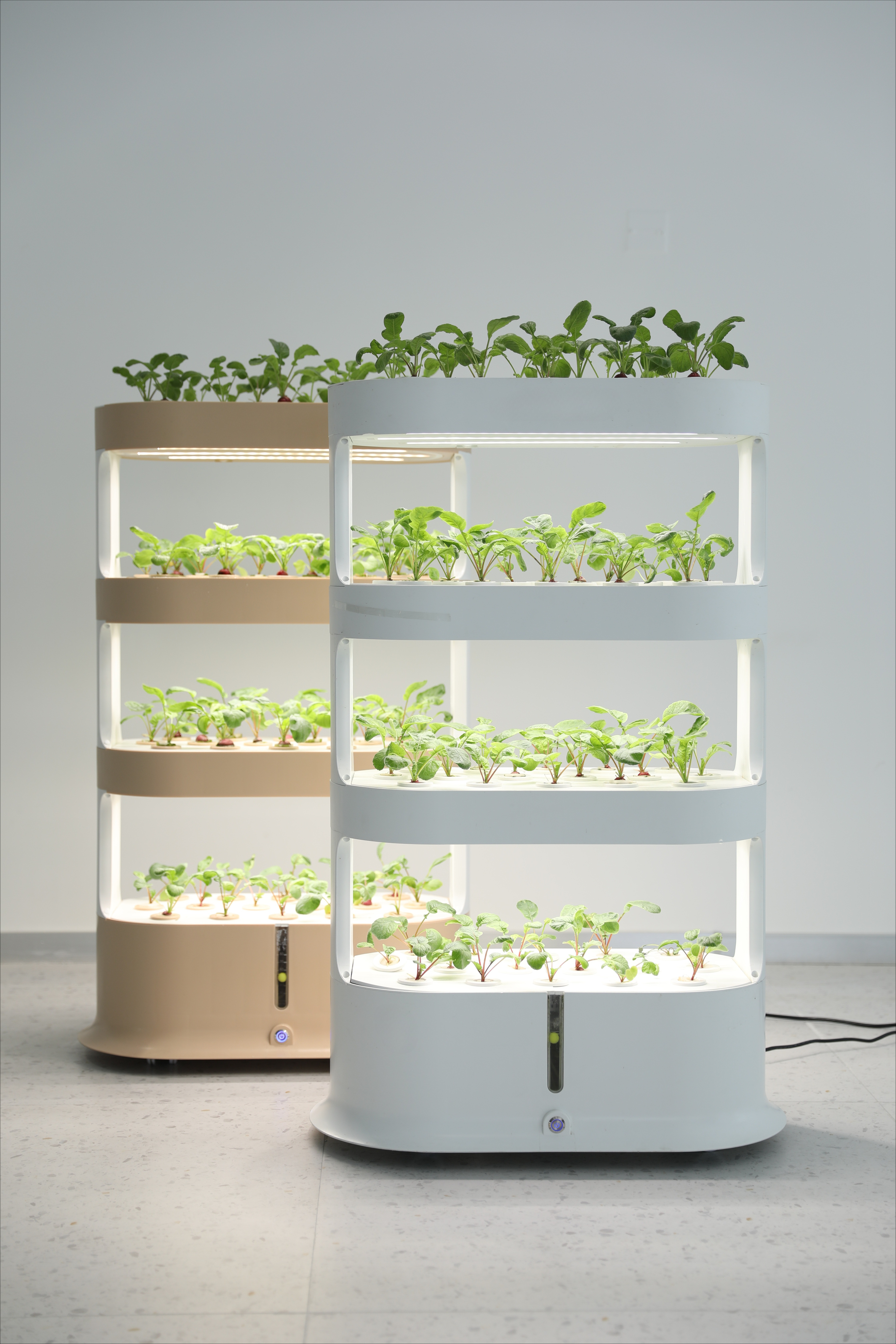 Home Greenhouse Automatic Home - Smart Garden Herb 评论和价格