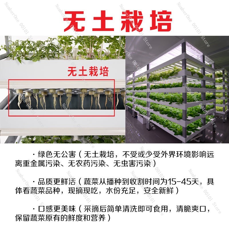 2026 Smart Indoor Hydroponic G - Smart Garden Herb 评论和价格