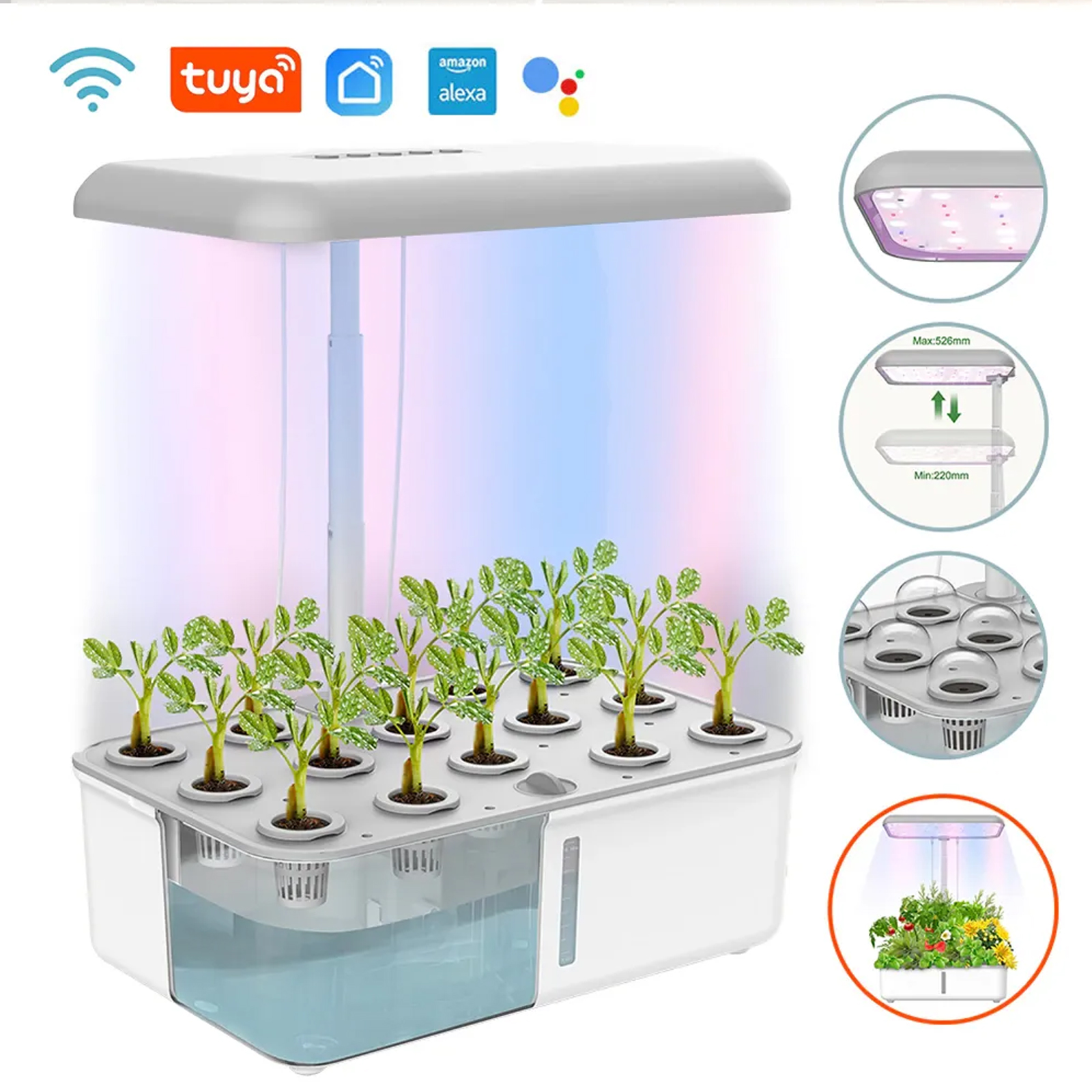 Tuya WiFi Plant Hydroponics Sy - Smart Garden Refill 评论和价格