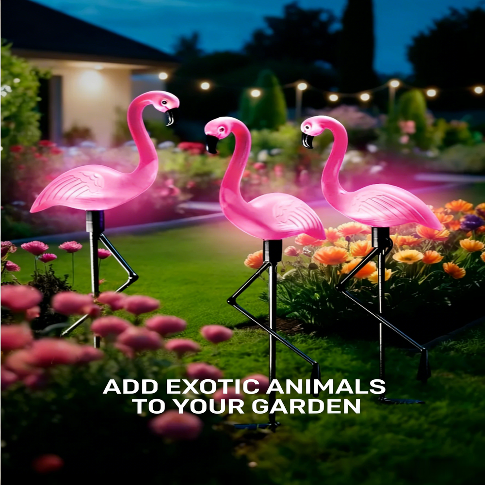 3Pcs Solar Powered Flamingo Gr - Smart Zen Garden 评论和价格