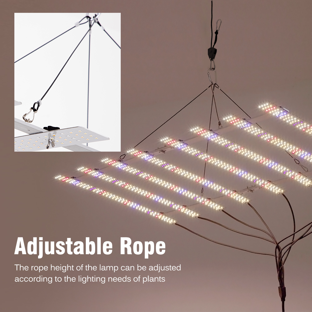 🌴100W 200W with Dimmable Switc - Plant Grow Light Full Spectrum 评论和价格