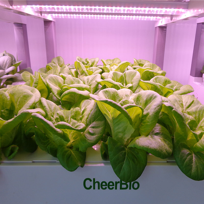 New Indoor Smart Vertical Hydr - Smart Garden Vertical 评论和价格