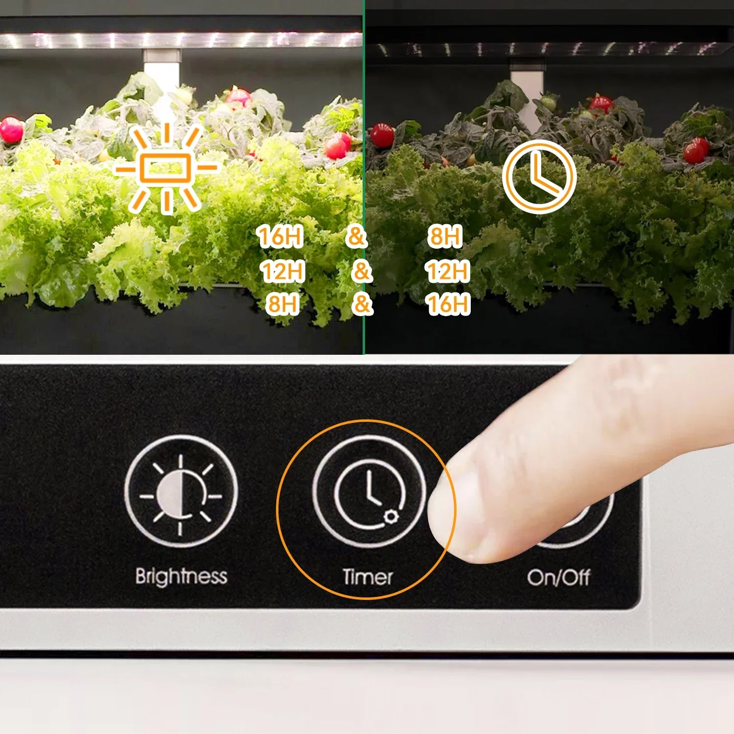 OEM Customized smart garden in - Smart Garden Herb 评论和价格