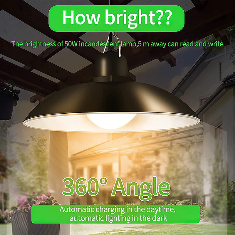Single Head Solar Pendant Ligh - Smart Garden Sheds 评论和价格