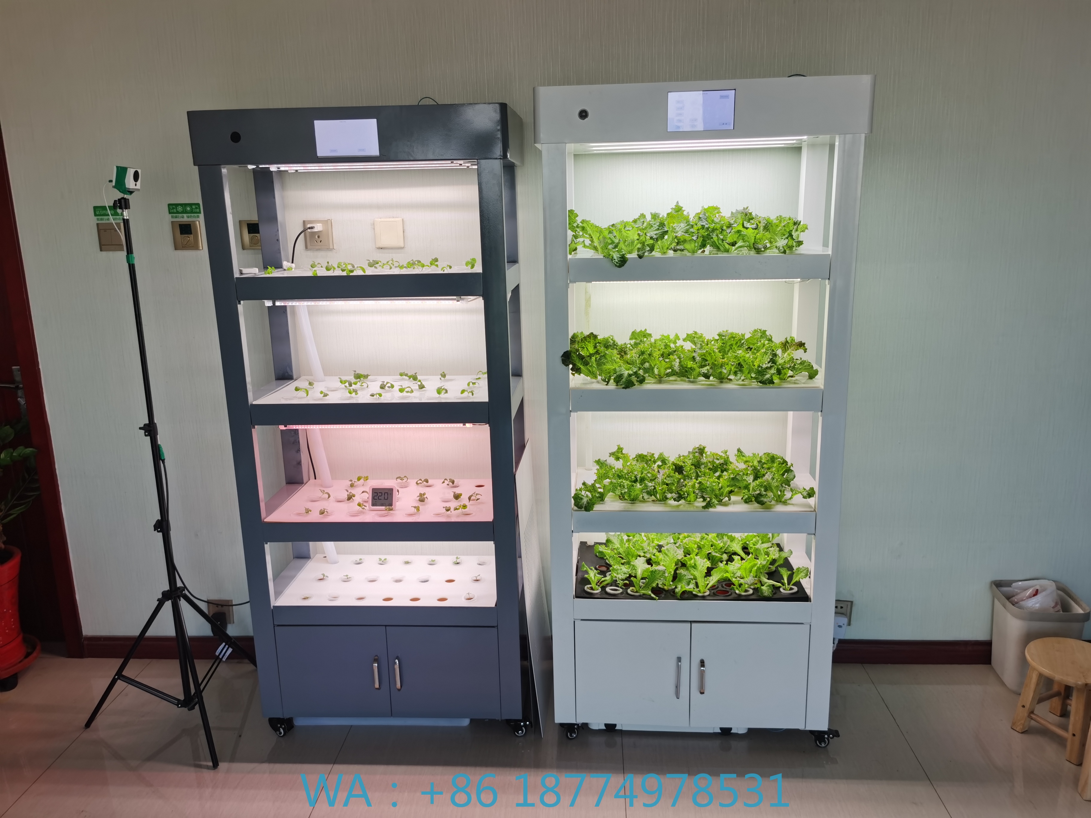 Aeroponic Vertical Hydroponic  - Smart Garden Vertical 评论和价格