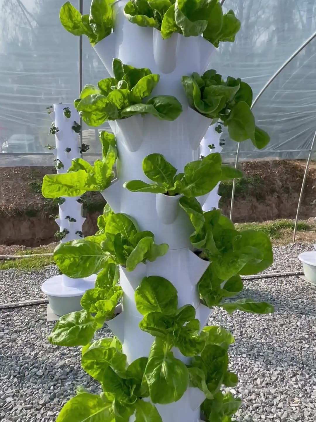 2024 Smart Low Cost Greenhouse - Smart Garden Vertical 评论和价格
