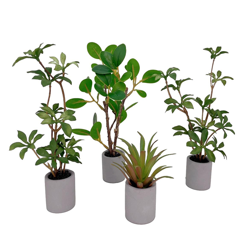 1:6 Dollhouse Miniature Potted - Smart Garden Mini 评论和价格