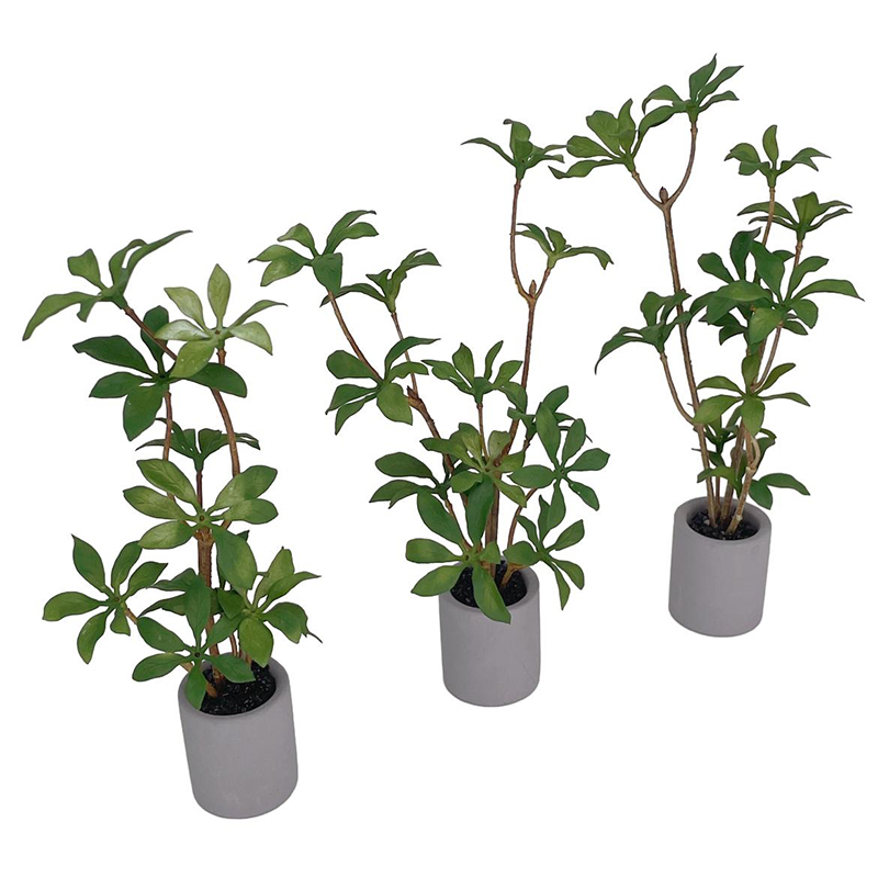 1:6 Dollhouse Miniature Potted - Smart Garden Mini 评论和价格