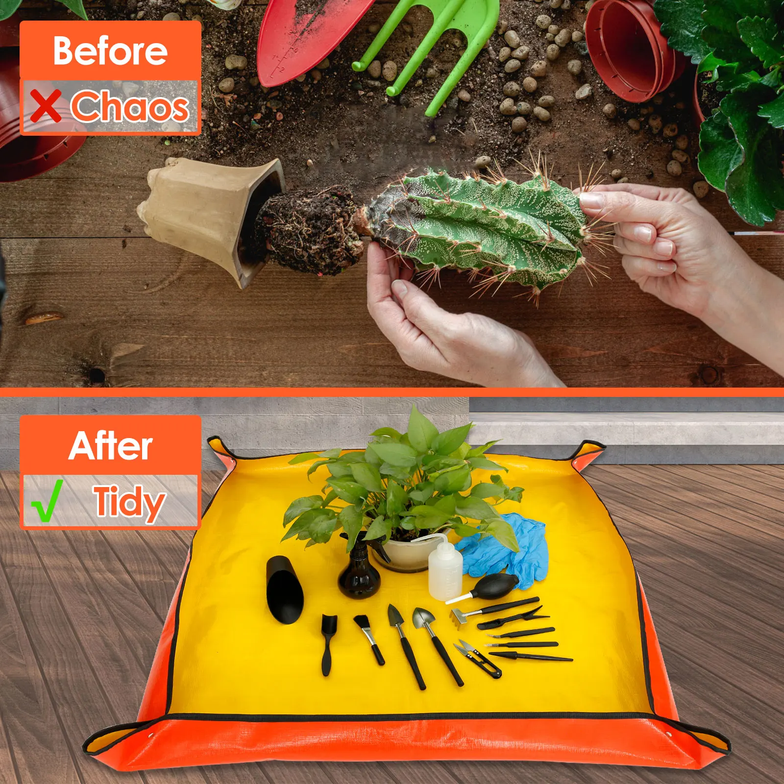 13/16Pcs Garden Succulent Plan - Smart Garden Mini 评论和价格