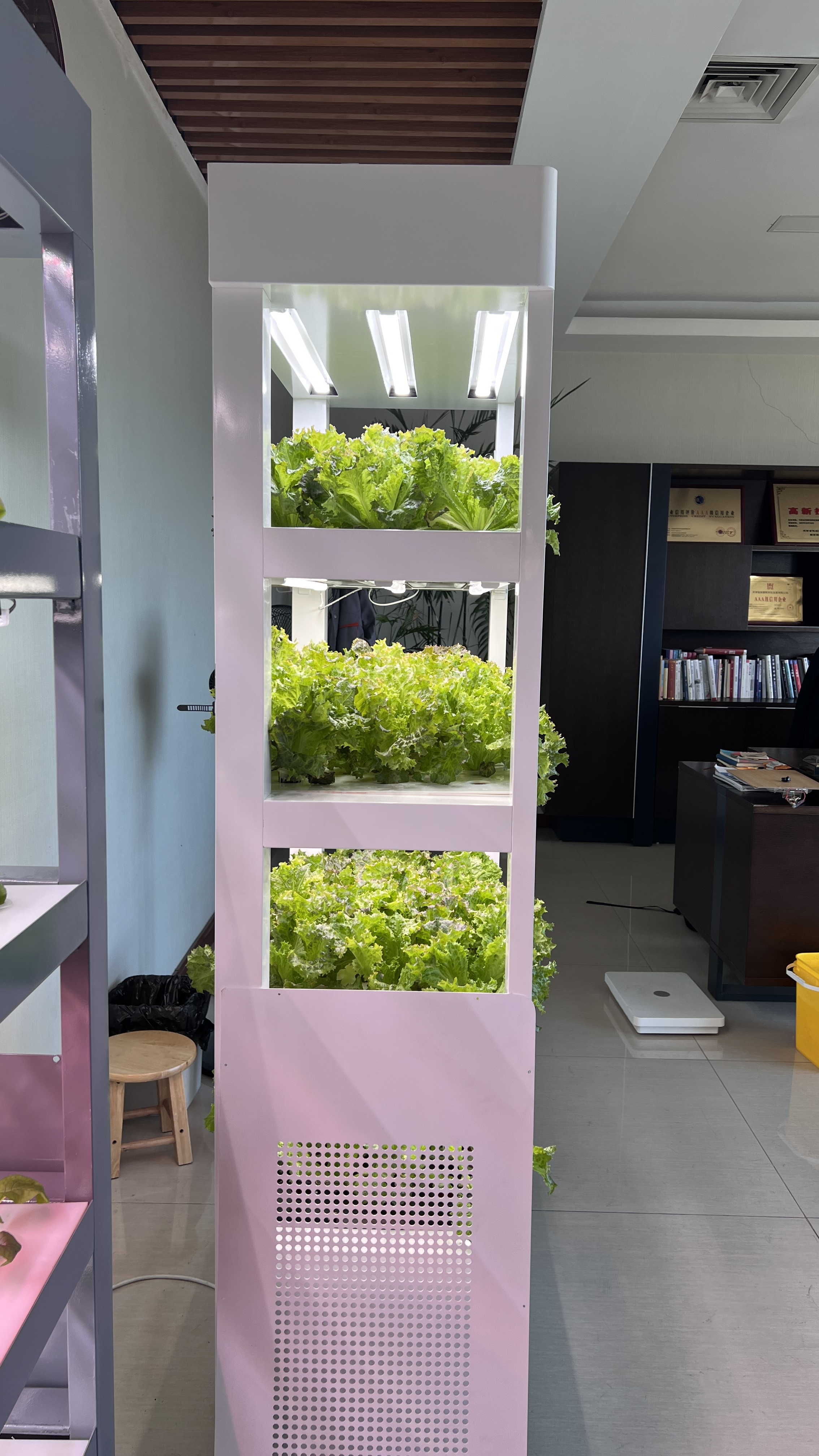 Indoor Home Smart Garden Intel - Smart Garden Vertical 评论和价格