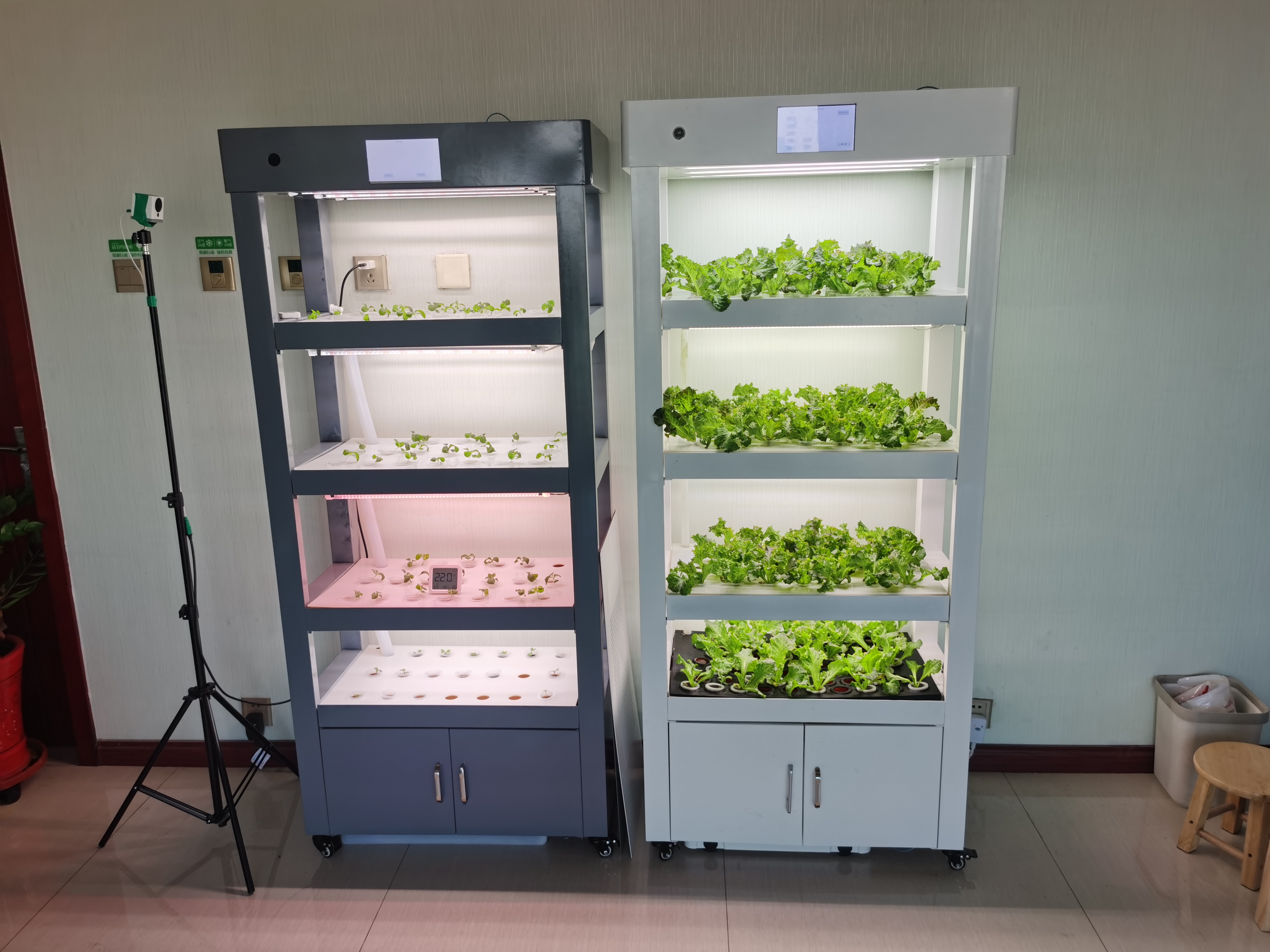 Indoor Home Smart Garden Intel - Smart Garden Vertical 评论和价格