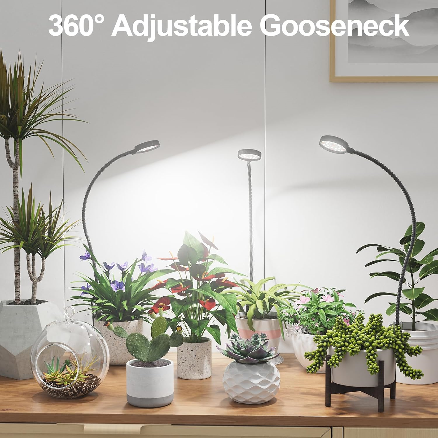 USB LED Grow Light 6000K Full  - Plant Grow Light Full Spectrum 评论和价格