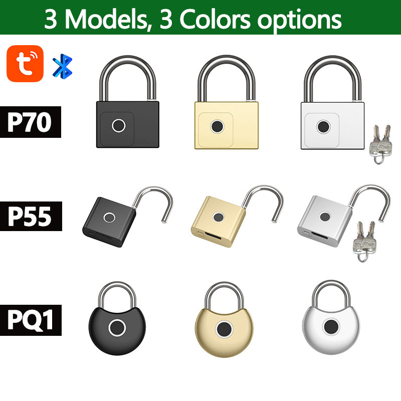 RAYKUBE Tuya Smart Padlock Fin - Smart Garden Lock 评论和价格
