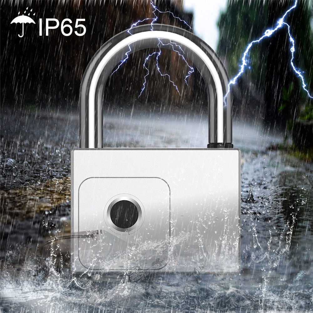 RAYKUBE Tuya Smart Padlock Fin - Smart Garden Lock 评论和价格