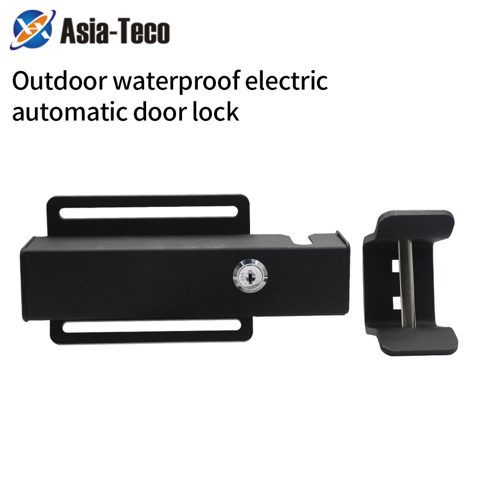 Outdoor Waterproof Electric Dr - Smart Garden Lock 评论和价格