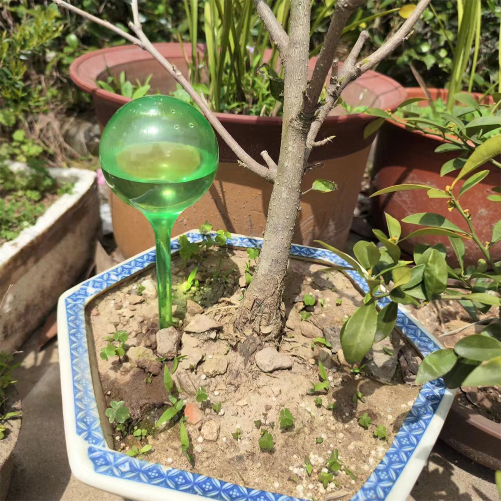 Automatic Plant Watering Bulbs - Smart Garden Project 评论和价格