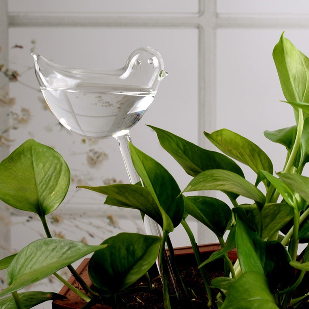 Automatic Plant Watering Bulbs - Smart Garden Project 评论和价格
