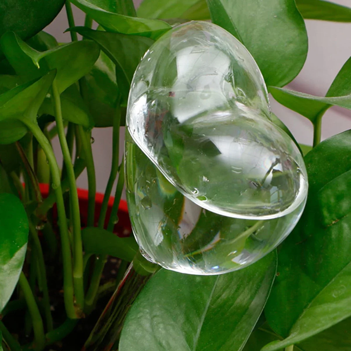 1pc Automatic Plant Watering B - Smart Garden Project 评论和价格