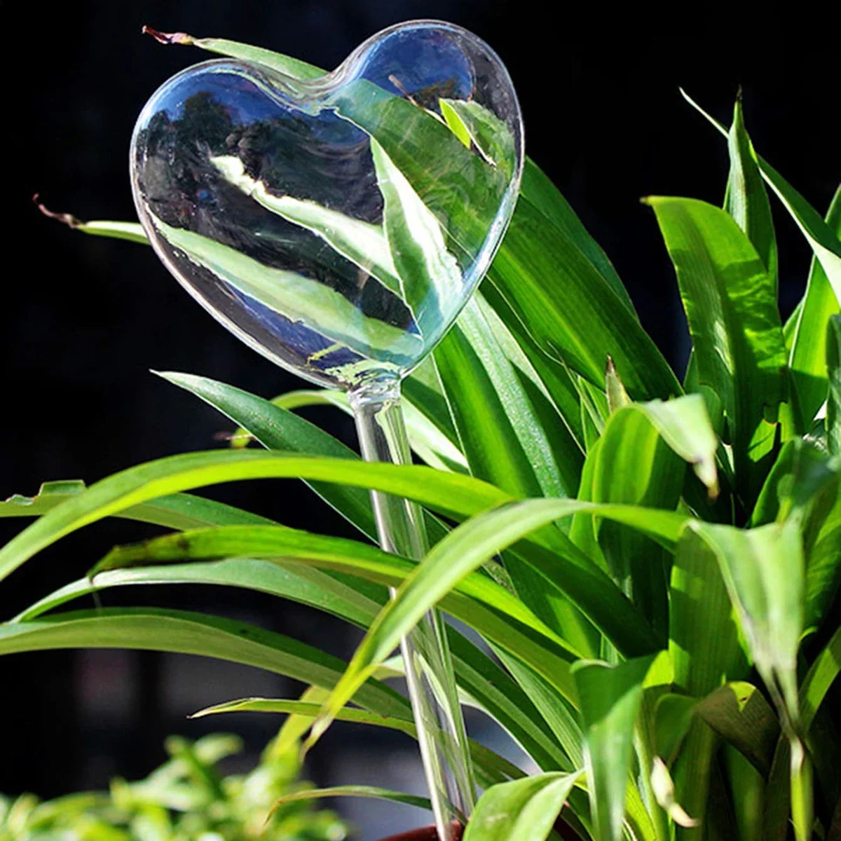 1pc Automatic Plant Watering B - Smart Garden Project 评论和价格
