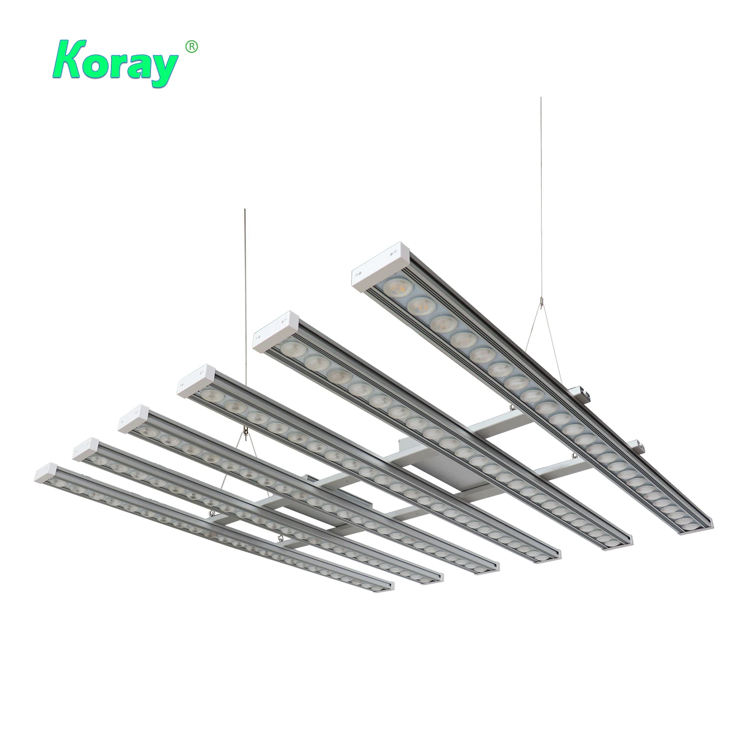 Koray 900W Indoor full spectru - Plant Grow Light Full Spectrum 评论和价格