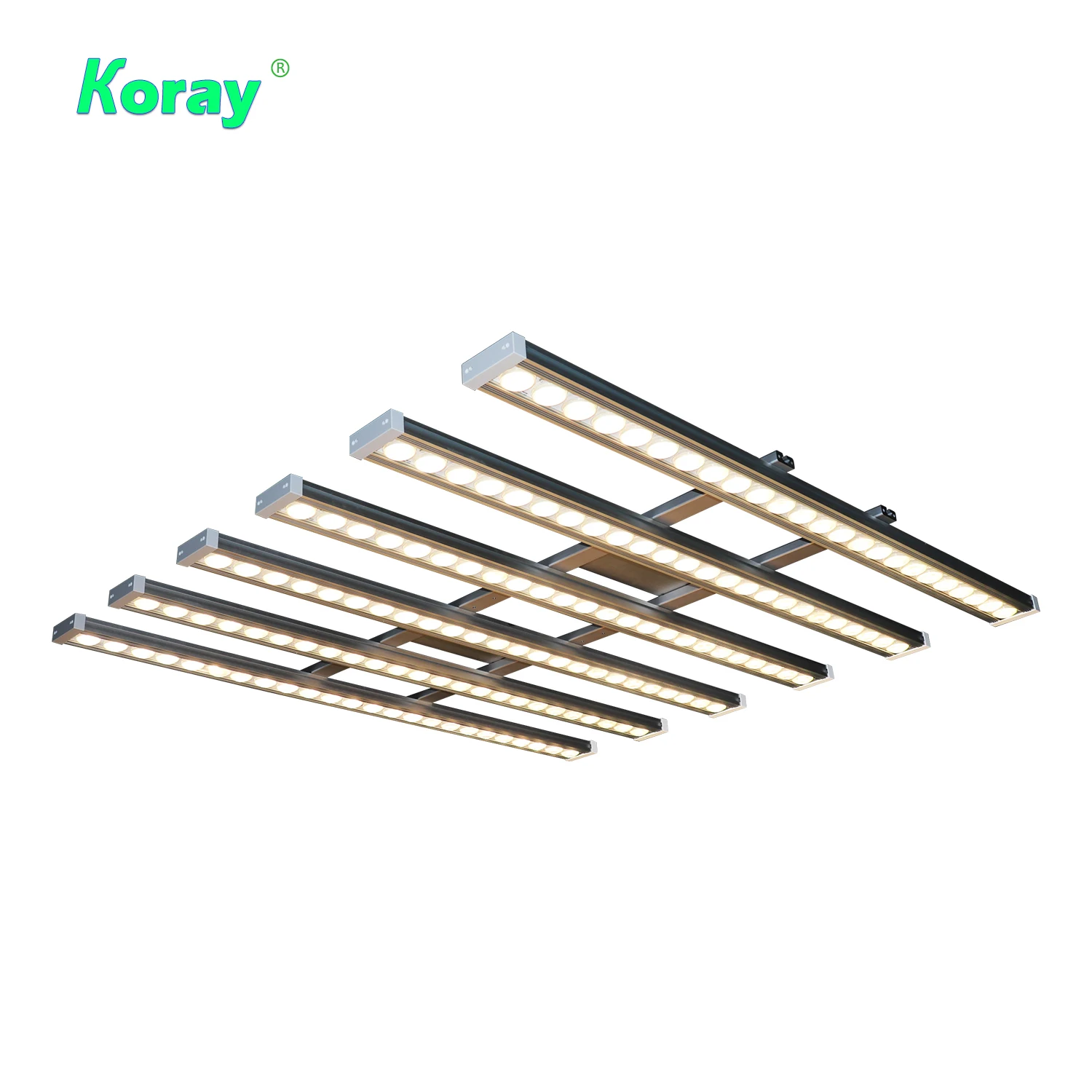 Koray 900W Indoor full spectru - Plant Grow Light Full Spectrum 评论和价格
