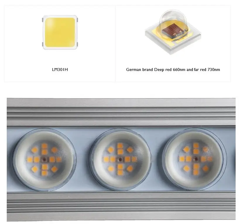 Koray 900W Indoor full spectru - Plant Grow Light Full Spectrum 评论和价格