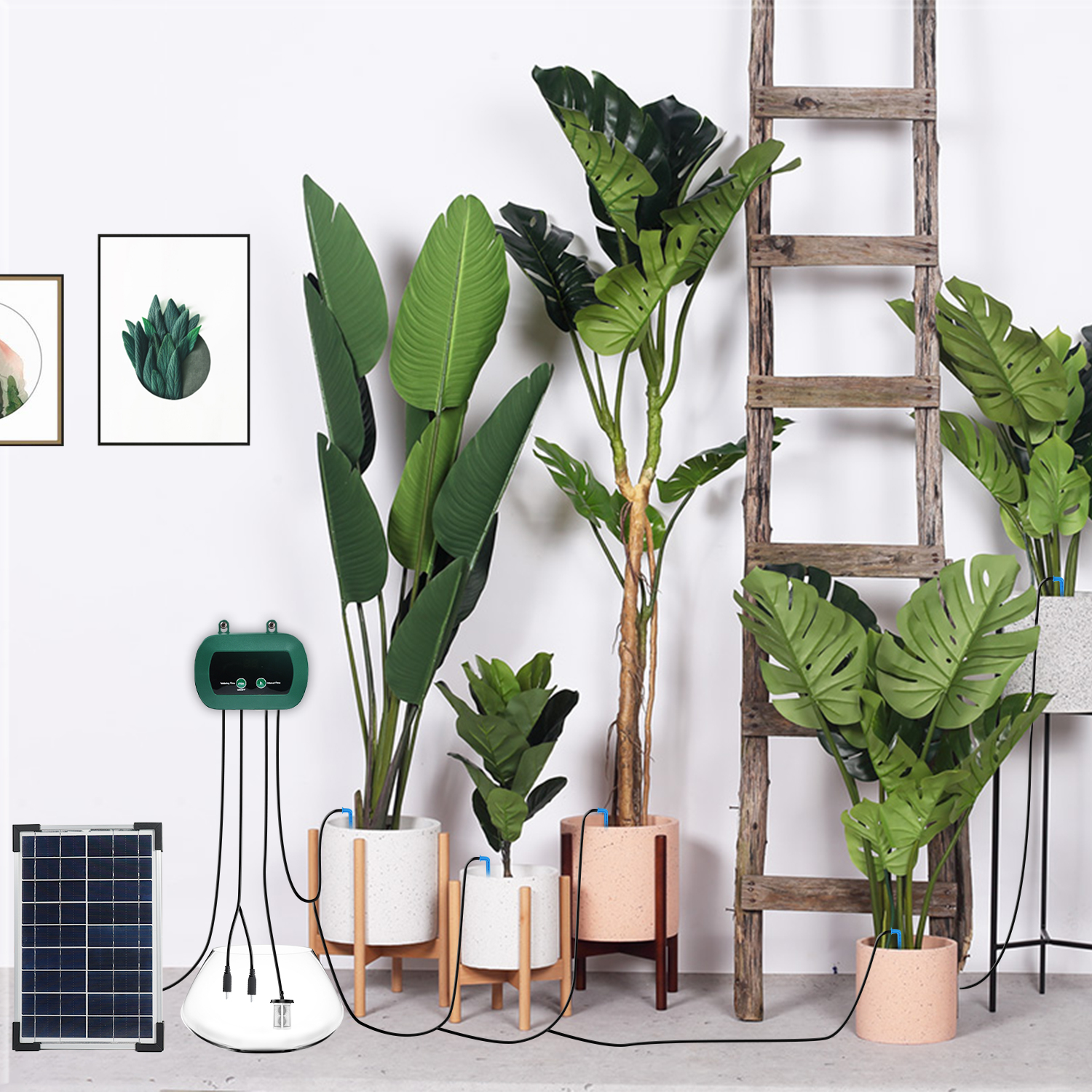 Solar Hydroponics Equipment  M - Smart Gardening 评论和价格