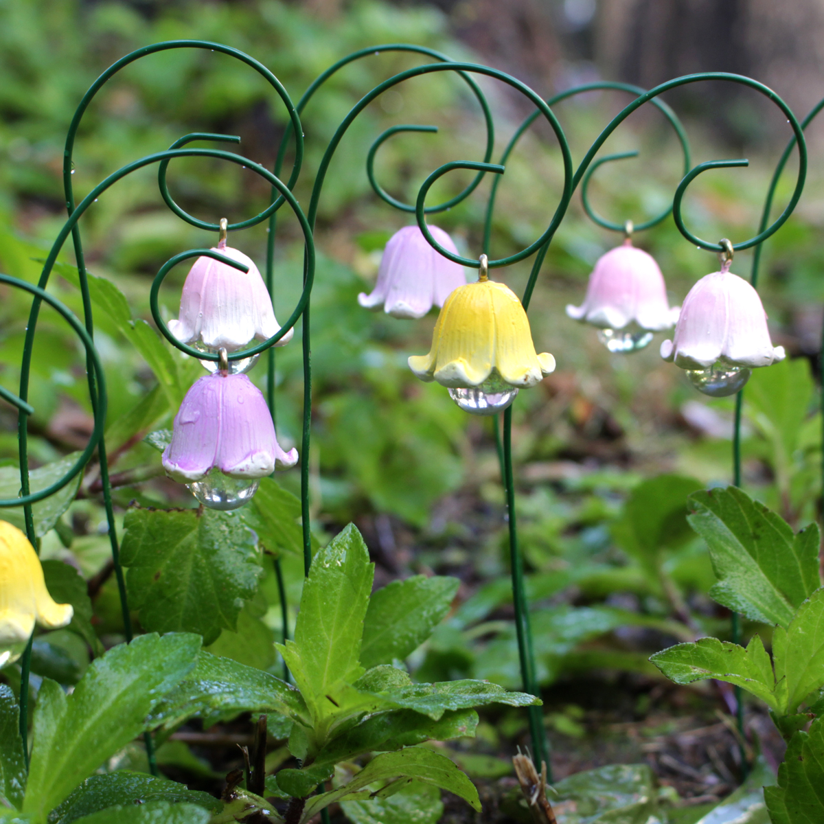 9pcs,Lily Of The Valley That W - Smart Garden Mini 评论和价格