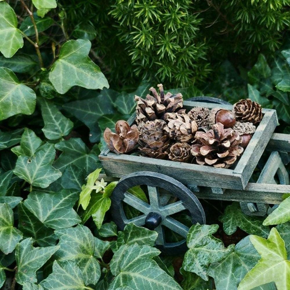 High Quality 1:12 Scale Dollho - Smart Garden Mini 评论和价格